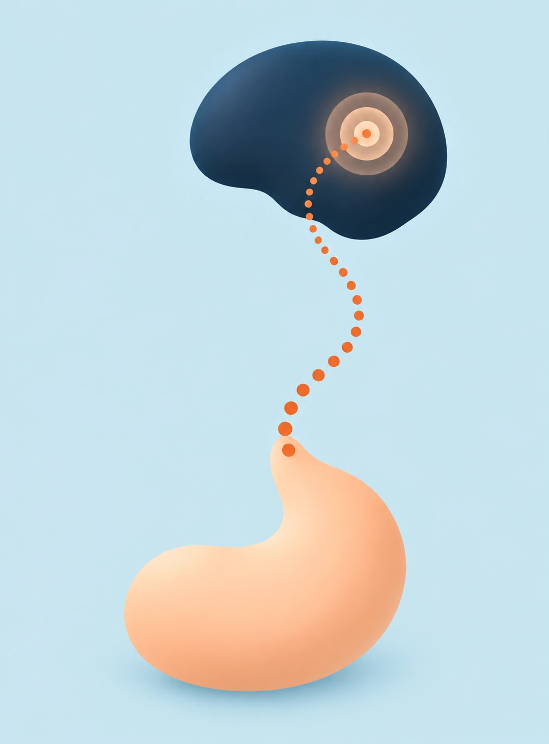 Illustration of a signal travelling from the stomach to the brain